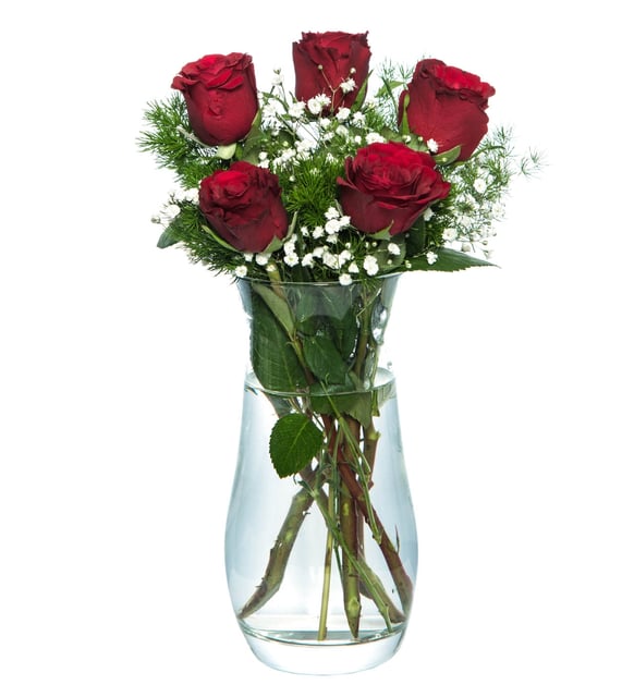 at344-1-8d714da36ec8346-95fac34f